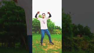 badrinath movie allu arjun dance step [upl. by Reckford759]