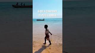 Apaixonados pela ilha de Bazaruto Lindo 😍 bazaruto mocambique [upl. by Herrah]