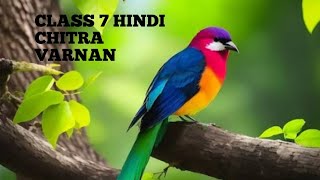 CLASS 7 HINDI CHITRA VARNAN [upl. by Riannon134]