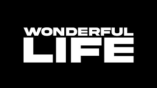 Remady amp Ane  Wonderful Life Official Lyric Video [upl. by Ecirtaemed711]