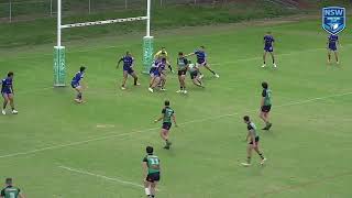 Owen Pattie  2024 Jersey Flegg Highlights [upl. by Zarger]