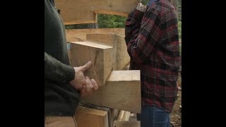 shorts Dovetail Jig  Building a Dovetail Log Cabin [upl. by Eniretak]