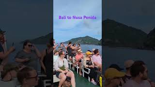 Most Beautiful  Bali to Nusa Penida Trip ytshorts youtubeshorts yt bali [upl. by Tarabar27]