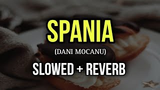 Dani Mocanu  SPANIA 🇪🇸  Slowed  Reverb [upl. by Aracaj269]