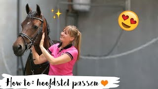 HOW TO hoofdstel passen  3  Epplejeck [upl. by Scarrow759]