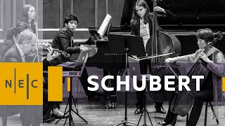 Schubert quotTroutquot Quintet [upl. by Mariya]