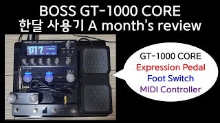 Review GT1000 CORE 한달 사용기 Part 1  Expression pedal setting [upl. by Tolmann]