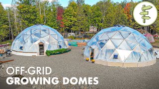 Brilliant OffGrid Geodesic Greenhouse Perfect for Homesteading amp 4 Season Food Production [upl. by Ormond]