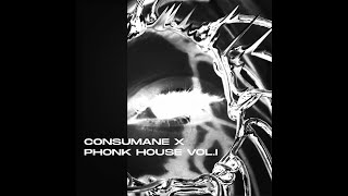 CONSUMANE GOTHIC PHONK HOUSE VOLI COMPILATION [upl. by Dralliw]