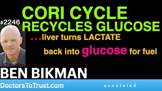 BEN BIKMAN L2  CORI CYCLE RECYCLES GLUCOSE liver turns LACTATE back into glucose for fuel [upl. by Wirth419]