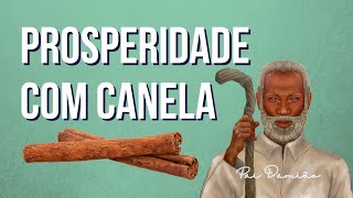 CANELA PARA PROSPERIDADE Tratamento da Semana [upl. by Brenton927]