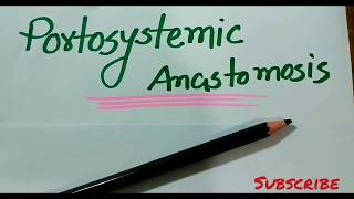 How to Draw Portosystemic Anastomosis Easily  Portosystemic Anastomosis Bangla Demonstration [upl. by Yeargain]