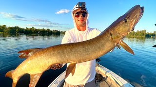 Muskies Unleashed Epic Adventures in Kawartha Lake [upl. by Ybeloc]