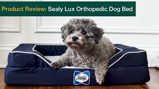 Sealy Lux Orthopedic Dog Bed Review With Cooling Technology [upl. by Ylicis43]