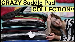 CRAZY Saddle Pad COLLECTION [upl. by Anifares]