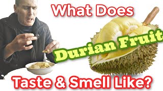 What Does Durian Taste amp Smell Like Find Out Here [upl. by Eilah767]