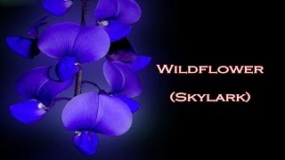 Skylark  Wildflower lyrics [upl. by Nira]