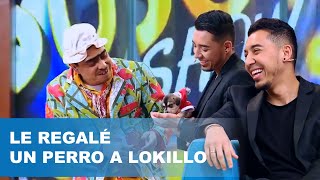 LE REGALÉ UN PERRO A LOKILLO TheSusosShow Caracol Televisión [upl. by Swayder878]