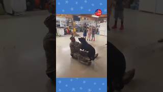 Soldier surprises dog after returning from deployment 🐶🇺🇸 shorts [upl. by Anyaled]