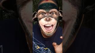 কালো বাঁদরcomedy funny monkey freefireshortstory banglacratoon funnyvideos youtubeshorts [upl. by Malim]