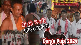 শ্ৰী শ্ৰী ঈ শ্বৰী হাহিঁ দেৱালয় Darik অপে Sagoli Debo আহিলো  আজি প্রথম দিন Durga Puja চাব আহিলো [upl. by Lejna]