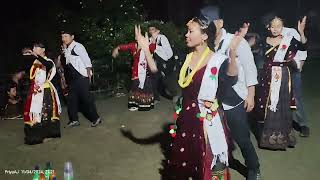 Tihar Special  Trishuli Bagera  cover dance by Hamro Magar Deusi team sadiya Shantipur 6no 2024 [upl. by Merth]