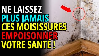 9 remèdes maison pour vous débarrasser des moisissures de votre maison [upl. by Atsyrk]