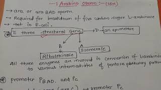 Arabinose Operon Part 1 Dr Preeti Dharmik [upl. by Micah]