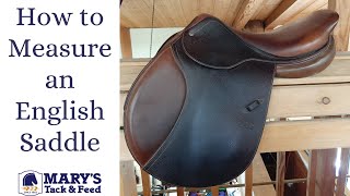 How to Measure an English Saddle [upl. by Chilcote543]