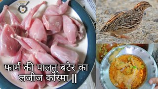 बटेर रेसिपीBater Bird RecipeQuail Bird recipeek dum lazeezLazeez tarkari [upl. by Acinna253]