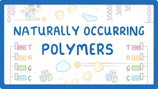 GCSE Chemistry  Naturally Occurring Polymers  Polypeptides DNA and Carbohydrates 61 [upl. by Blight]