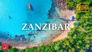 Travel Zanzibar  ISLAND IN TANZANIA 🇹🇿  12k Ultra HD  Virtual Travel [upl. by Notloc]