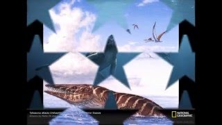 tylosaurus vs predator x [upl. by Nolava]