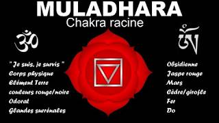 Harmonisation des chakras  Muladhara 29 [upl. by Erdnua]