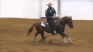 Shawn Flarida and Quistador  2011 Congress NRHA Open Reining Champion [upl. by Aitsirk]