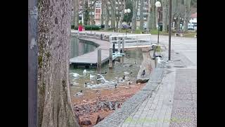 Lac nantua en France [upl. by Gaylor782]