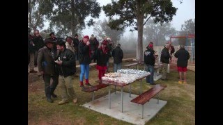 VARIETY BASH 2010CAR222wmv [upl. by Noyek]