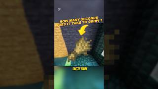 Total Seconds To Grow Wheat in Minecraft 🤯 shorts minecraft [upl. by Naasah874]