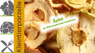 Äpfel dörren im Dörrautomat  Unsere Äpfel trocknen [upl. by Garin]