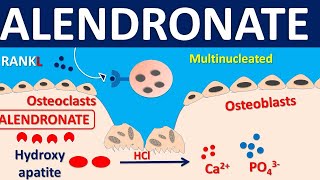 Alendronate for osteoporosis  Mechanism side effects precautions amp uses [upl. by Analad597]