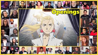 Fullmetal Alchemist Brotherhood All Openings 15 Reaction Mashup 鋼の錬金術師 [upl. by Paz]