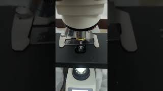 Exploring Precision Trinocular Microscope ECO128 Review amp Specifications viral shorts [upl. by Notsirhc728]