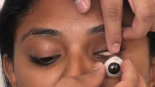 Artificial eye removal with suction cup [upl. by Perusse110]