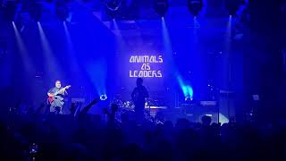 Animals As Leaders  Ectogenesis Live Culture Room Ft Lauderdale FL [upl. by Lebiralc471]