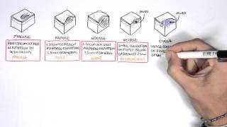 Dermatology  Lesion Terminology [upl. by Rucker]