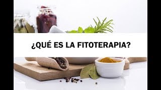 ¿Qué es la Fitoterapia [upl. by Annoirb134]