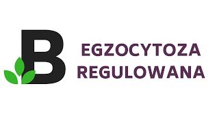 EGZOCYTOZA regulowana  na czym polega  KOREPETYCJE z BIOLOGII  44 [upl. by Asilat]