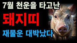 2024년 갑진년 하반기 양력 7월 돼지띠 운세 드디어 귀인이 도와 대박터진다 뭘해도 재물운 대박났다 95년 83년 71년 59년 47년생 돼지띠 운세 궁합 [upl. by Auqenehs]