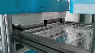 multi station Plastic thermoforming machine model 750650max forming area750650mm [upl. by Faxon]