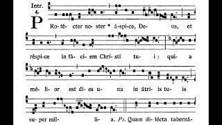 14th Sunday after Pentecost INTROIT Protéctor noster solfeggio [upl. by Hagile196]